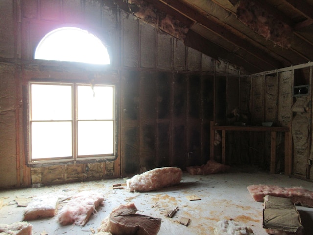 interior space featuring vaulted ceiling and a wealth of natural light