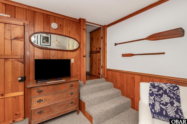 staircase with carpet, wooden walls, and a wainscoted wall