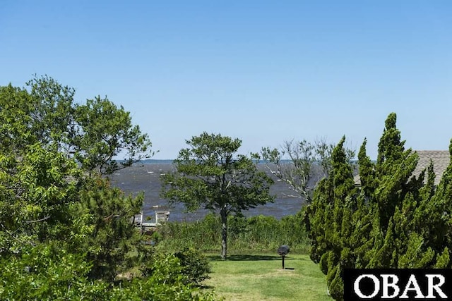 view of property's community featuring a lawn