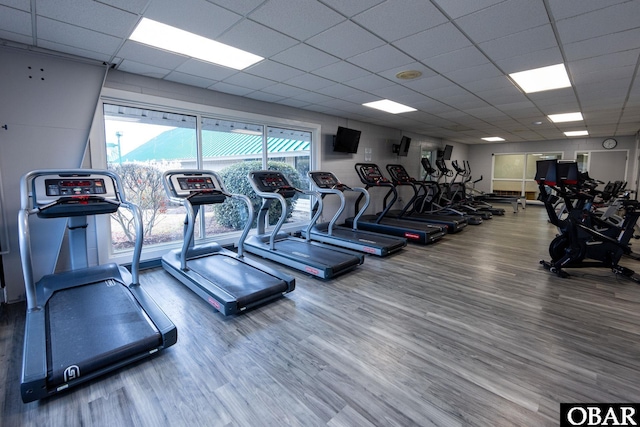 workout area with a drop ceiling and wood finished floors