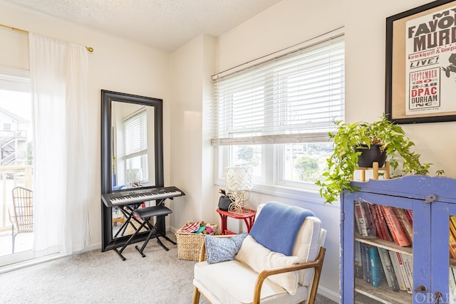 sitting room featuring a textured ceiling, carpet flooring, and baseboards