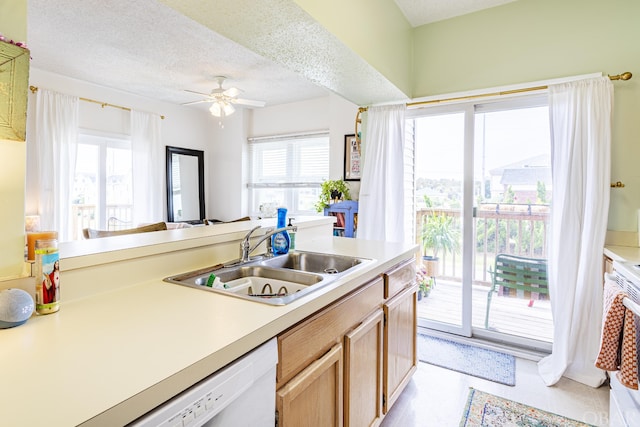 kitchen featuring dishwasher, ceiling fan, light countertops, a textured ceiling, and a sink