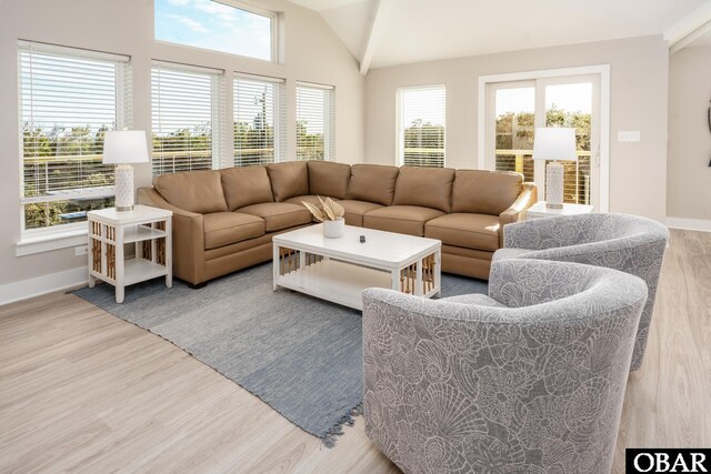 living room featuring lofted ceiling, plenty of natural light, baseboards, and wood finished floors