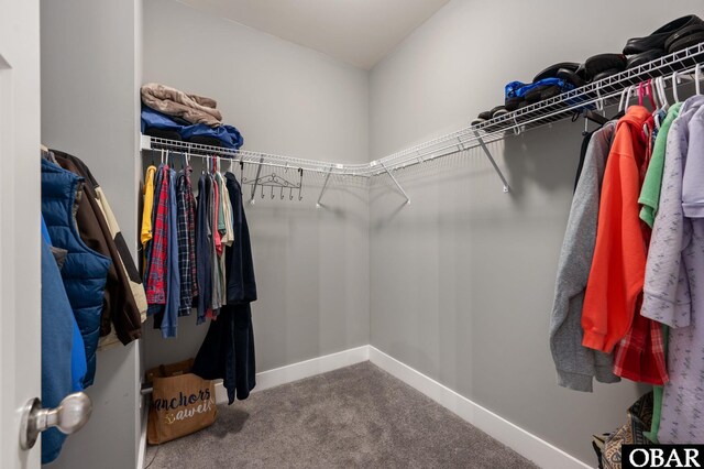 1304 Harpoon Dr Lot # 70, Kill Devil Hills, NC 27948 - walk in closet with carpet floors