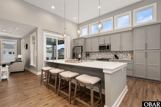 1304 Harpoon Dr Lot # 70, Kill Devil Hills, NC 27948 - kitchen with stainless steel appliances, gray cabinets, wood finished floors, a sink, and a breakfast bar