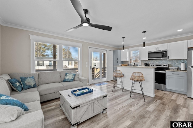 living area featuring crown molding and light wood-style floors