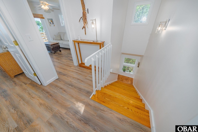 116 Jimmy Ct Lot 116, Kill Devil Hills, NC 27948 - photo 27