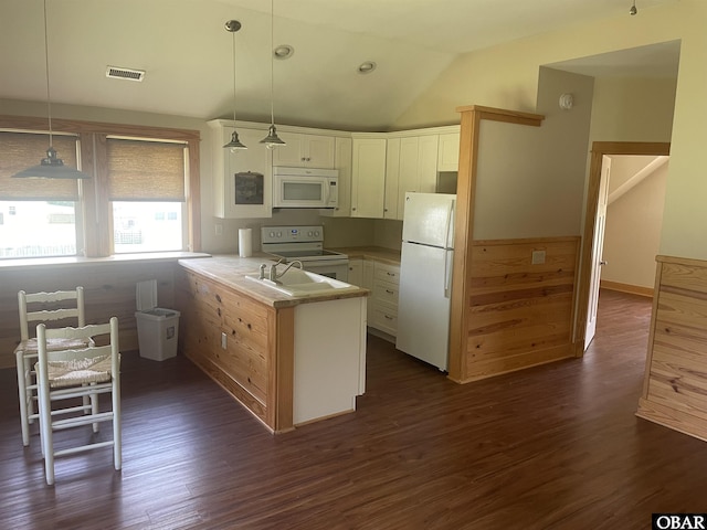102 Daybreak Ct Lot # 53, Grandy, NC 27939 - kitchen featuring white appliances, a peninsula, dark wood-style floors, pendant lighting, and vaulted ceiling