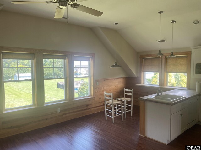 102 Daybreak Ct Lot # 53, Grandy, NC 27939 - kitchen with vaulted ceiling, dark wood-style floors, white cabinetry, a ceiling fan, and a wainscoted wall