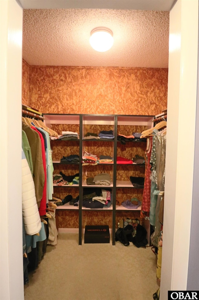 509 Telegraph Ct Lot 17, Kill Devil Hills, NC 27948 - spacious closet with carpet flooring