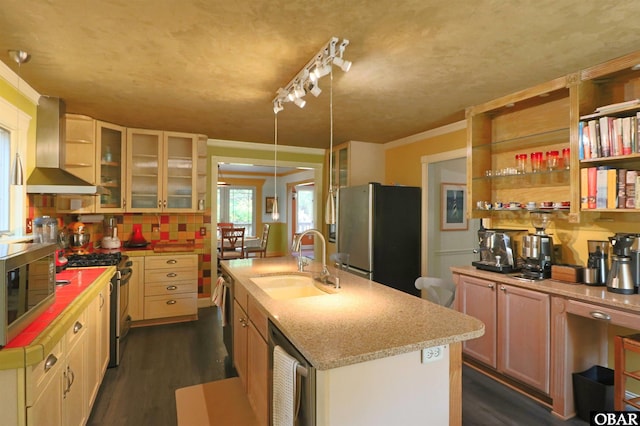 509 Telegraph Ct Lot 17, Kill Devil Hills, NC 27948 - kitchen with stainless steel appliances, wall chimney exhaust hood, a sink, wine cooler, and a center island with sink