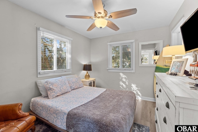 100 Tides Dr Lot 1, Duck, NC 27949 - bedroom featuring wood finished floors, multiple windows, ceiling fan, and baseboards