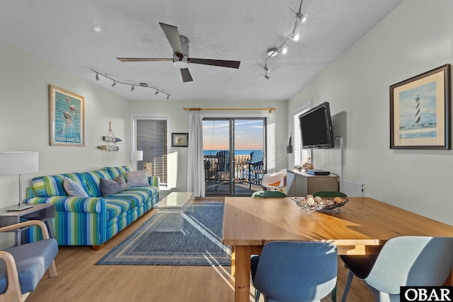 living room with a textured ceiling, ceiling fan, wood finished floors, and track lighting