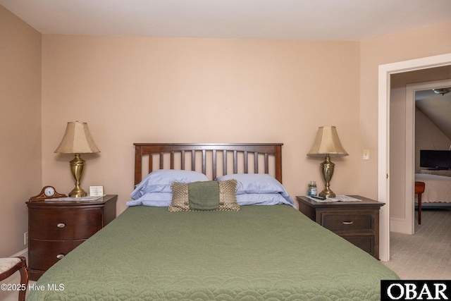 505 N Broad St, Edenton, NC 27932 - bedroom with light colored carpet