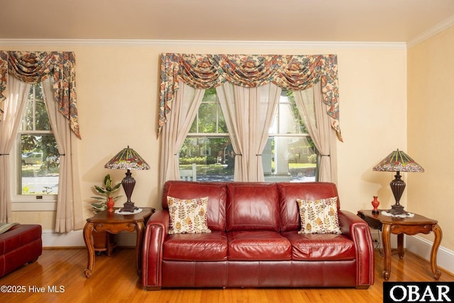 505 N Broad St, Edenton, NC 27932 - living area with ornamental molding, plenty of natural light, and wood finished floors