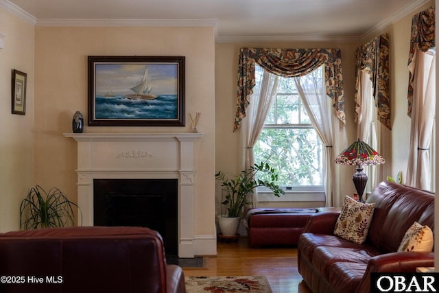 505 N Broad St, Edenton, NC 27932 - living area with crown molding, wood finished floors, and a fireplace