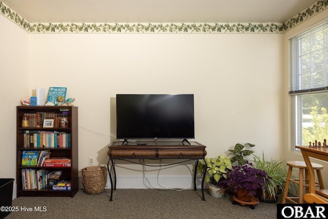 505 N Broad St, Edenton, NC 27932 - living area with carpet flooring