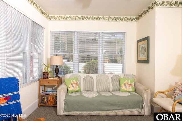 505 N Broad St, Edenton, NC 27932 - interior space with a wealth of natural light, carpet floors, and baseboards