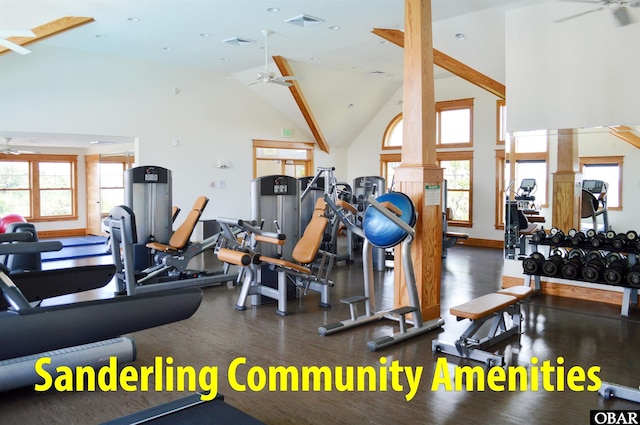 gym featuring a wealth of natural light, visible vents, high vaulted ceiling, and a ceiling fan