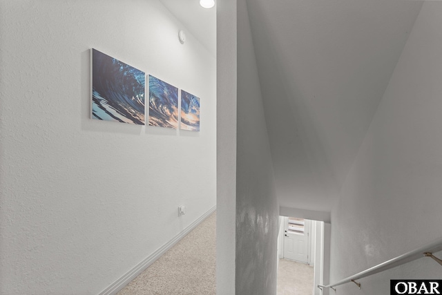 interior space featuring carpet floors and baseboards