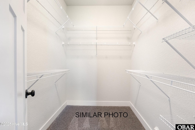 spacious closet featuring carpet flooring