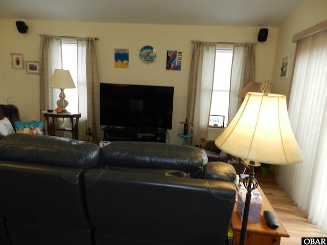 living room featuring a wealth of natural light and wood finished floors