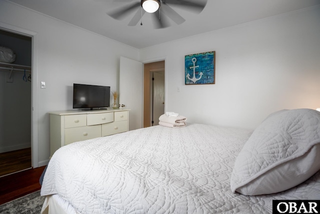 bedroom featuring ceiling fan, a spacious closet, a closet, and wood finished floors