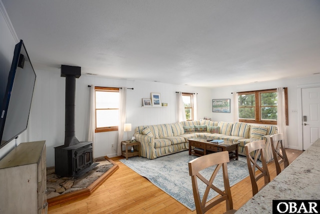 living room with a wood stove and wood finished floors