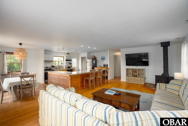 living area featuring a wood stove, light wood-type flooring, and a wealth of natural light