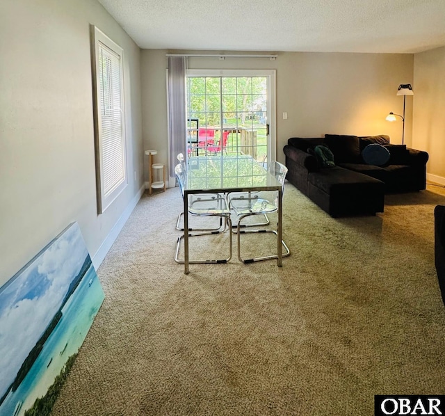25 Croatan Ct Unit 25, Manteo, NC 27954 - carpeted living room with a textured ceiling and baseboards