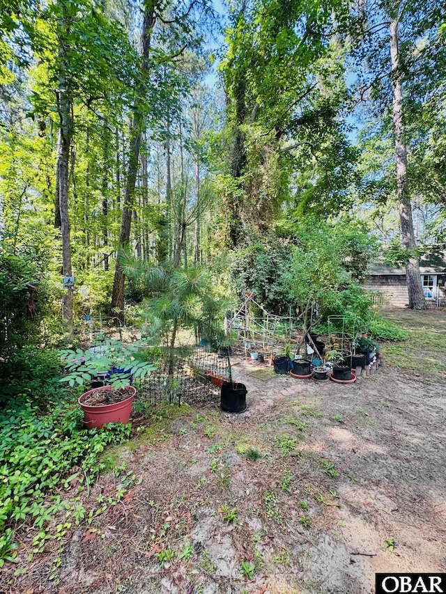 25 Croatan Ct Unit 25, Manteo, NC 27954 - view of yard
