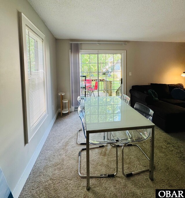 25 Croatan Ct Unit 25, Manteo, NC 27954 - carpeted dining area featuring healthy amount of natural light, a textured ceiling, and baseboards