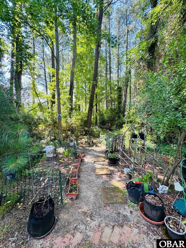25 Croatan Ct Unit 25, Manteo, NC 27954 - view of yard