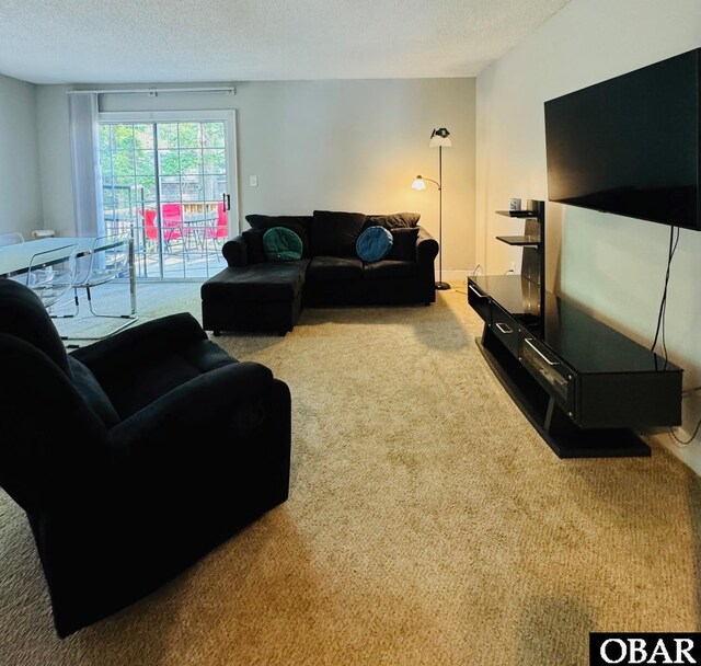 25 Croatan Ct Unit 25, Manteo, NC 27954 - living room with carpet flooring and a textured ceiling