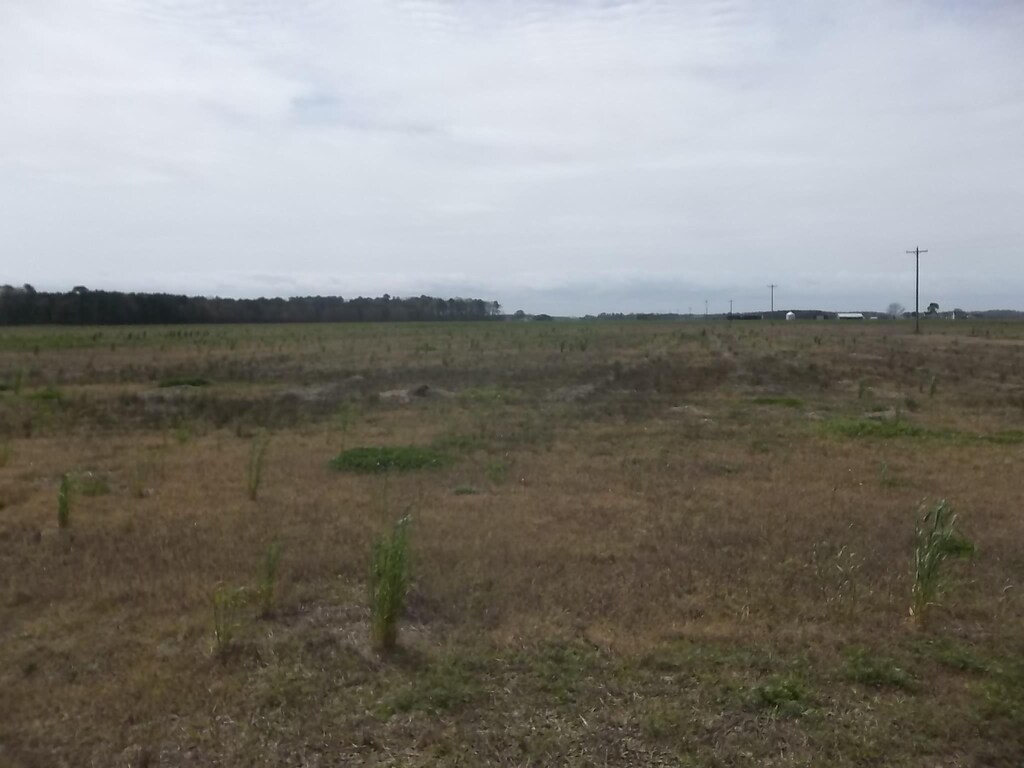 1120 Griff Ln Lot # 7, Elizabeth City, NC 27909 - photo 1
