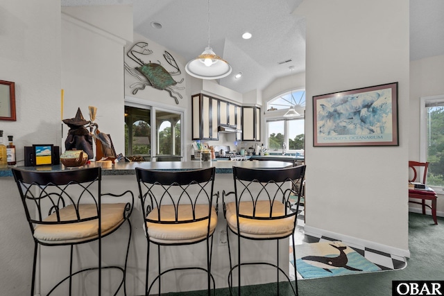 409 W Raceview Ct Lot # 35, Nags Head, NC 27959 - bar featuring vaulted ceiling, carpet flooring, range, pendant lighting, and under cabinet range hood