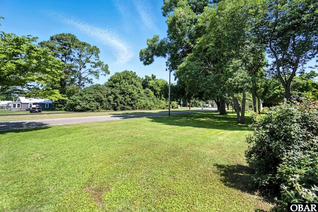 401 E Queen St, Edenton, NC 27932 - view of grassy yard