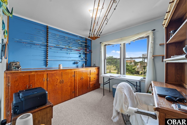 57194 M V Australia Ln, Hatteras, NC 27943 - office area with carpet flooring and crown molding
