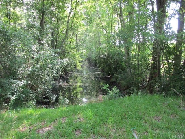 view of landscape featuring a view of trees