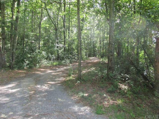 view of street featuring a forest view