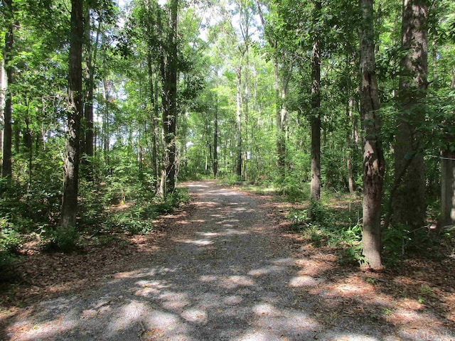 view of road with a wooded view