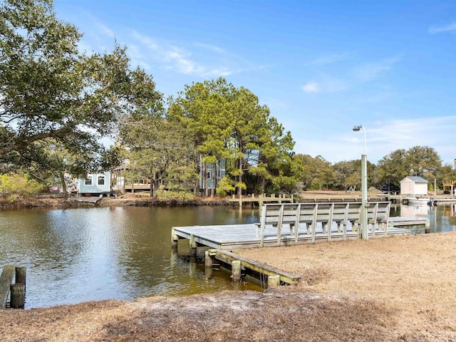 dock area with a water view