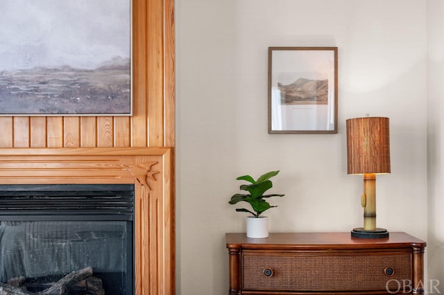 room details featuring a glass covered fireplace