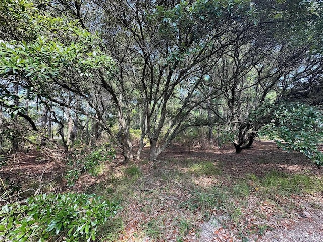 Listing photo 3 for 2303 False Cape Rd Lot # 14, Corolla NC 27927