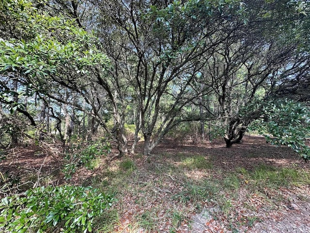 2303 False Cape Rd Lot # 14, Corolla, NC 27927