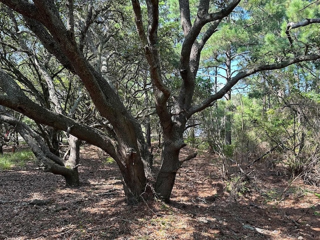 2303 False Cape Rd Lot # 14, Corolla, NC 27927