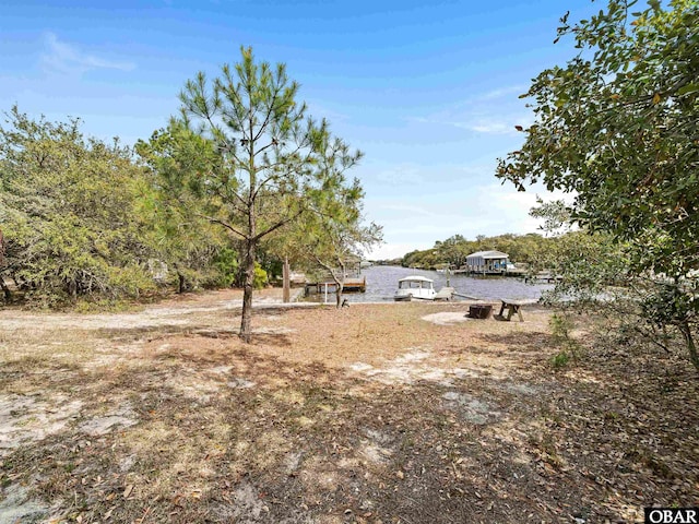 view of yard featuring a boat dock