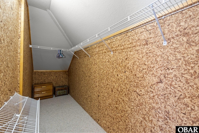 walk in closet with carpet floors and vaulted ceiling