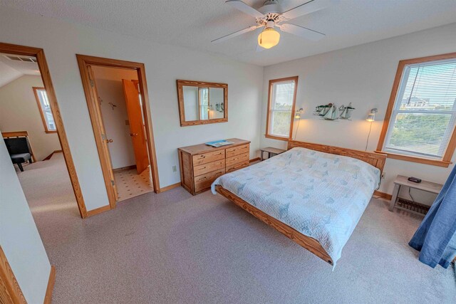 40270 Croaker Ct Lot D, Avon, NC 27915 - bedroom with multiple windows and light carpet