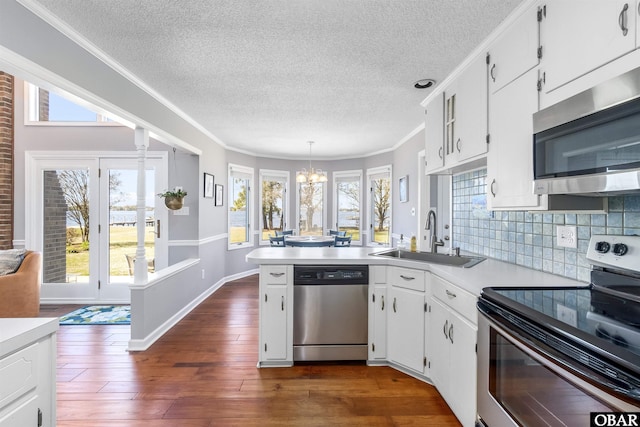 kitchen with tasteful backsplash, stainless steel appliances, dark wood-type flooring, a sink, and a notable chandelier